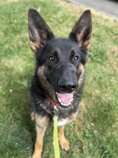 Photo of Betty