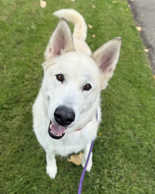 Photo of Crystal
